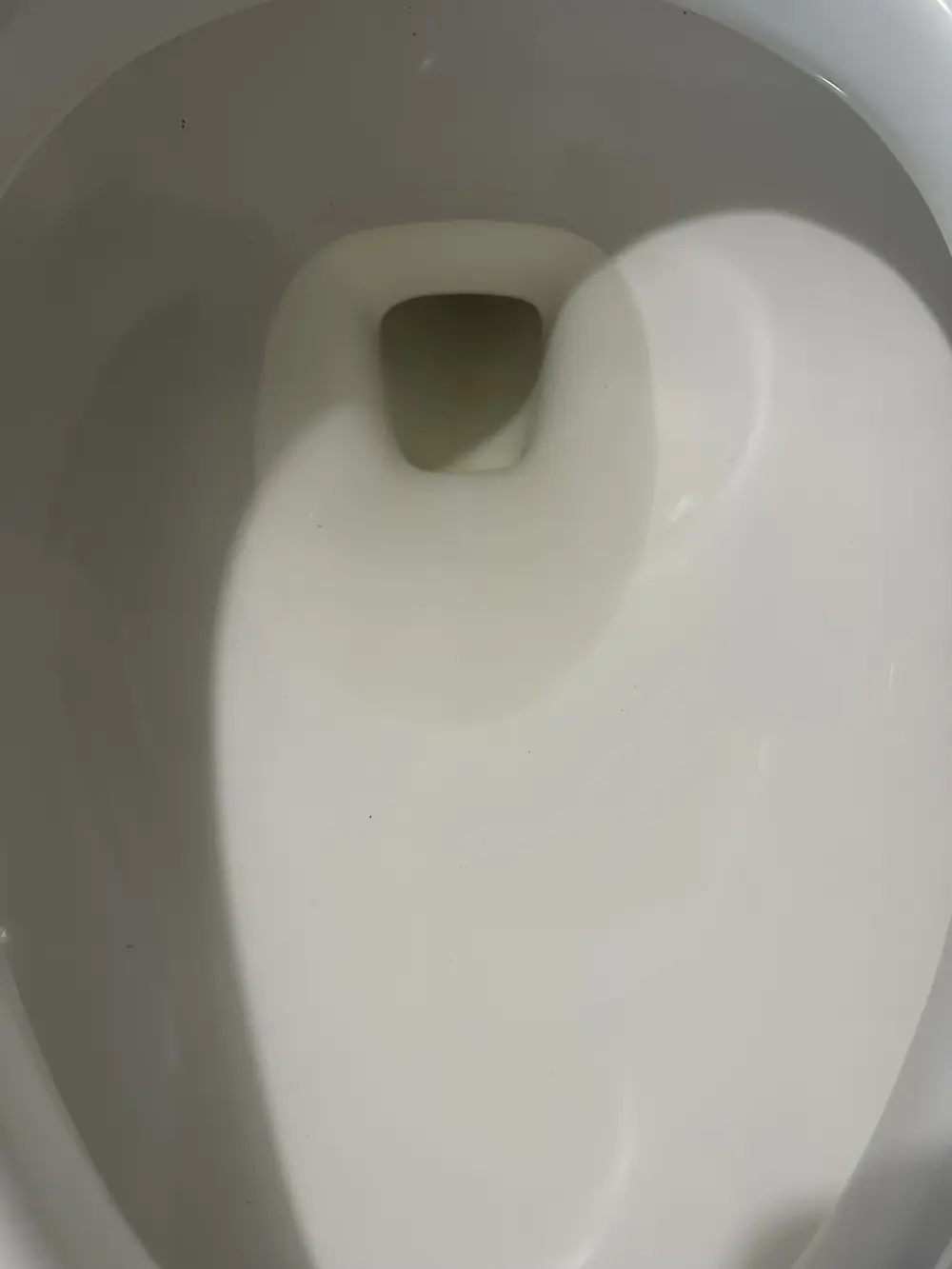 The same toilet, inspection-ready after a Clean My Mess move-out cleaning