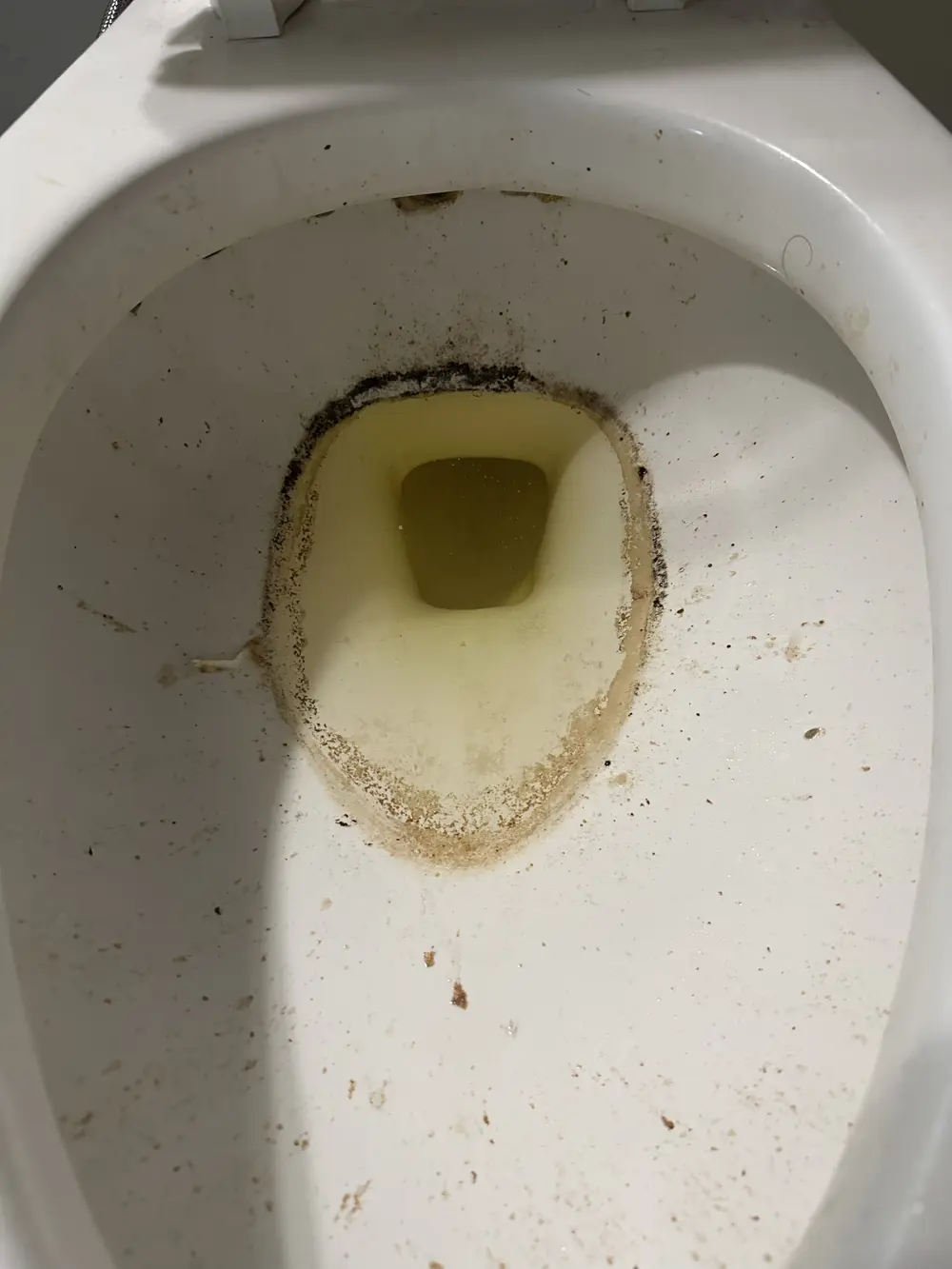Toilet with heavy buildup before move-out cleaning